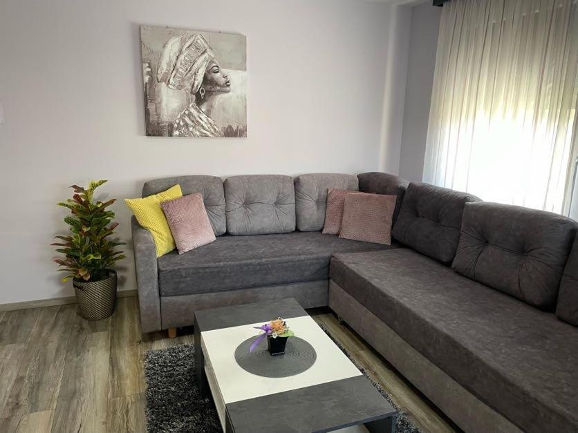 Apartments Dora Sveti Martin Na Muri Exterior foto